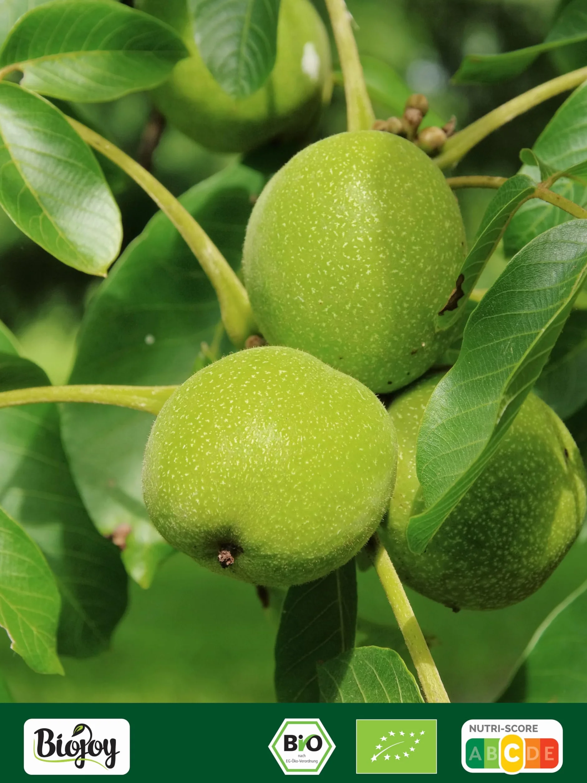 Biojoy Nueces Peladas Ecológicas (1 kg Mitades), crudas y sin aditivos (Juglans regia)