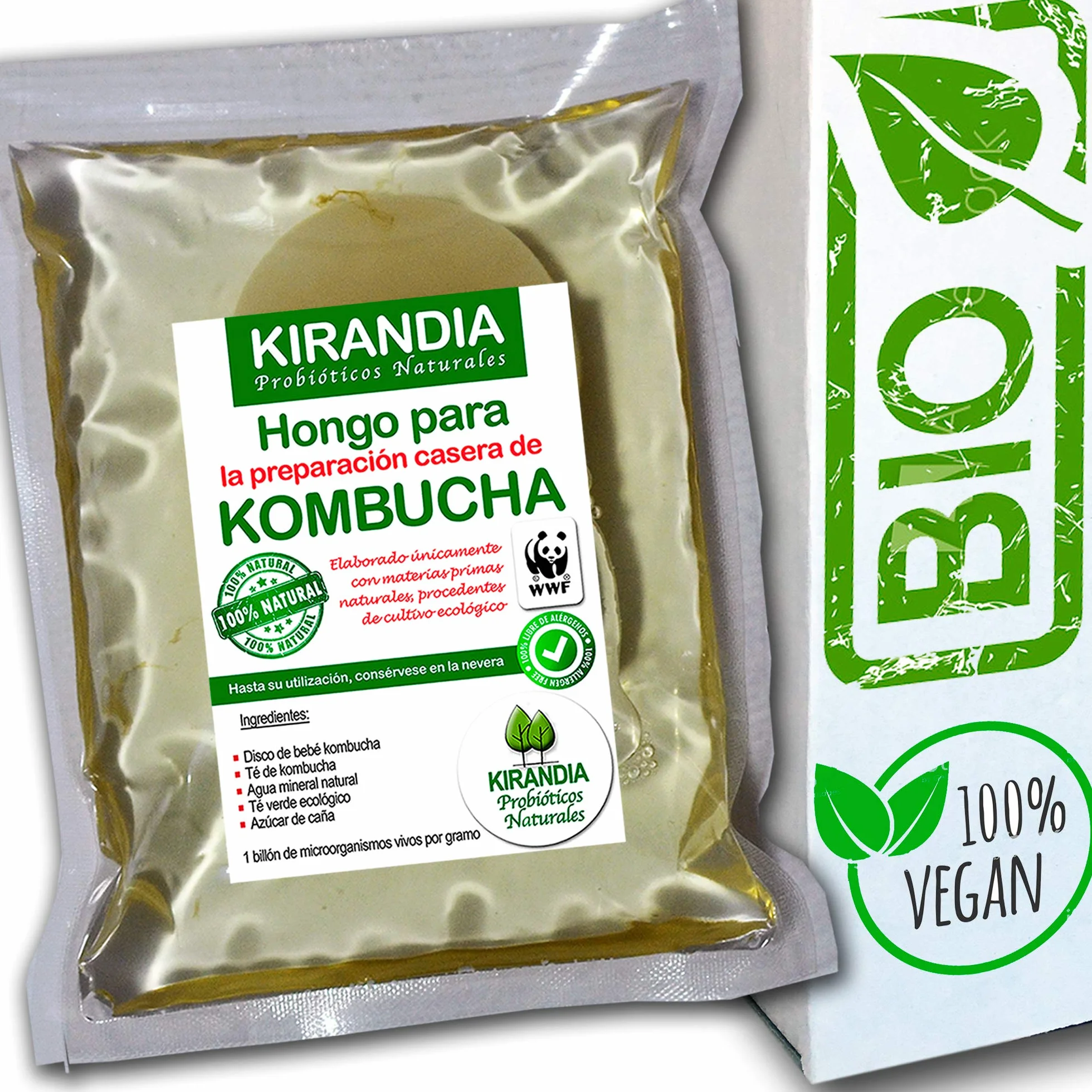 BEBÉ KOMBUCHA SCOBY - Kombucha con Registro Sanitario - Elabora Tu Propio Té Biológico en Casa