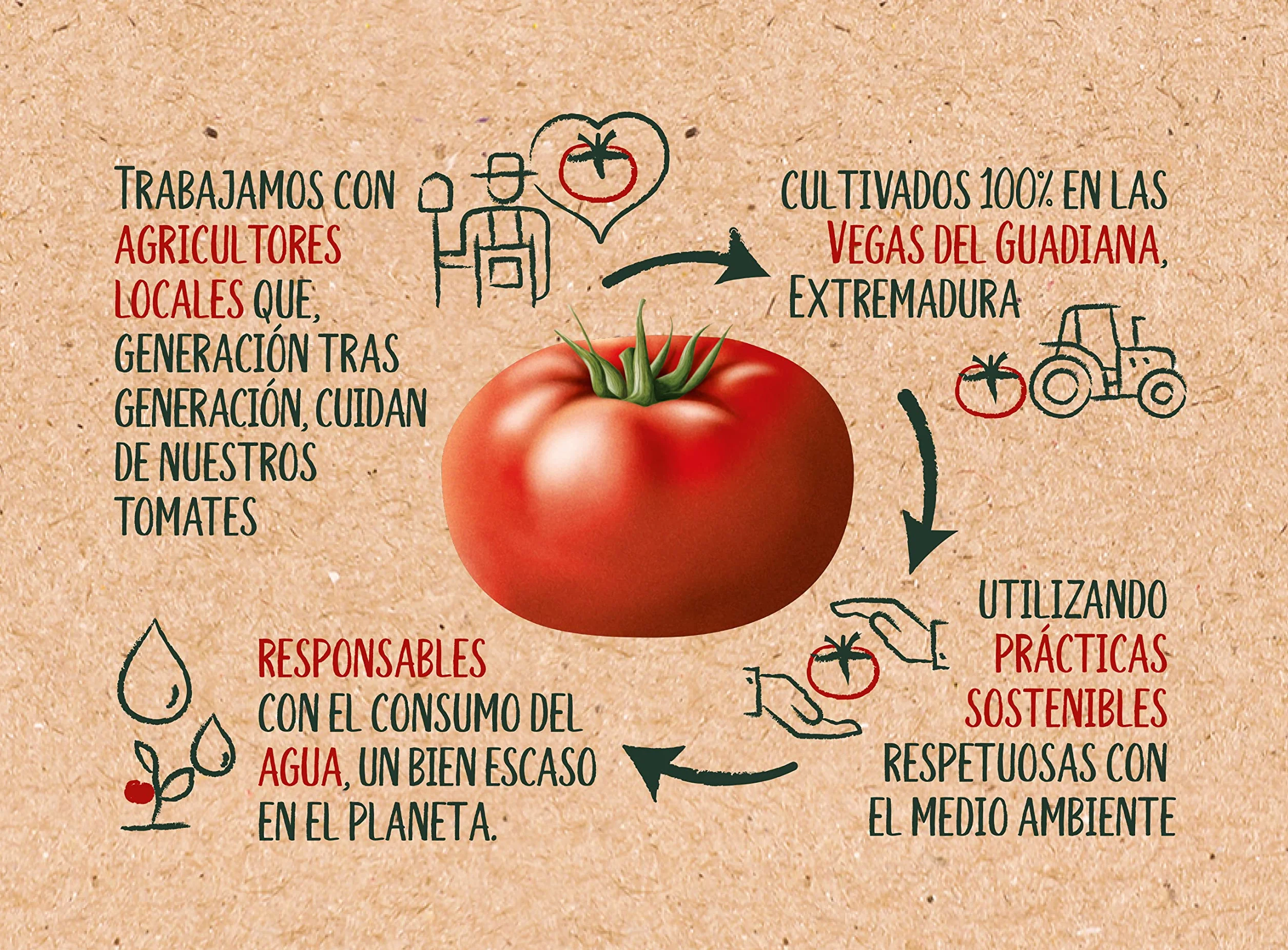 SOLÍS Tomate Frito Estilo Casero Brick - Pack de 12 x 350g - Tomate sin gluten