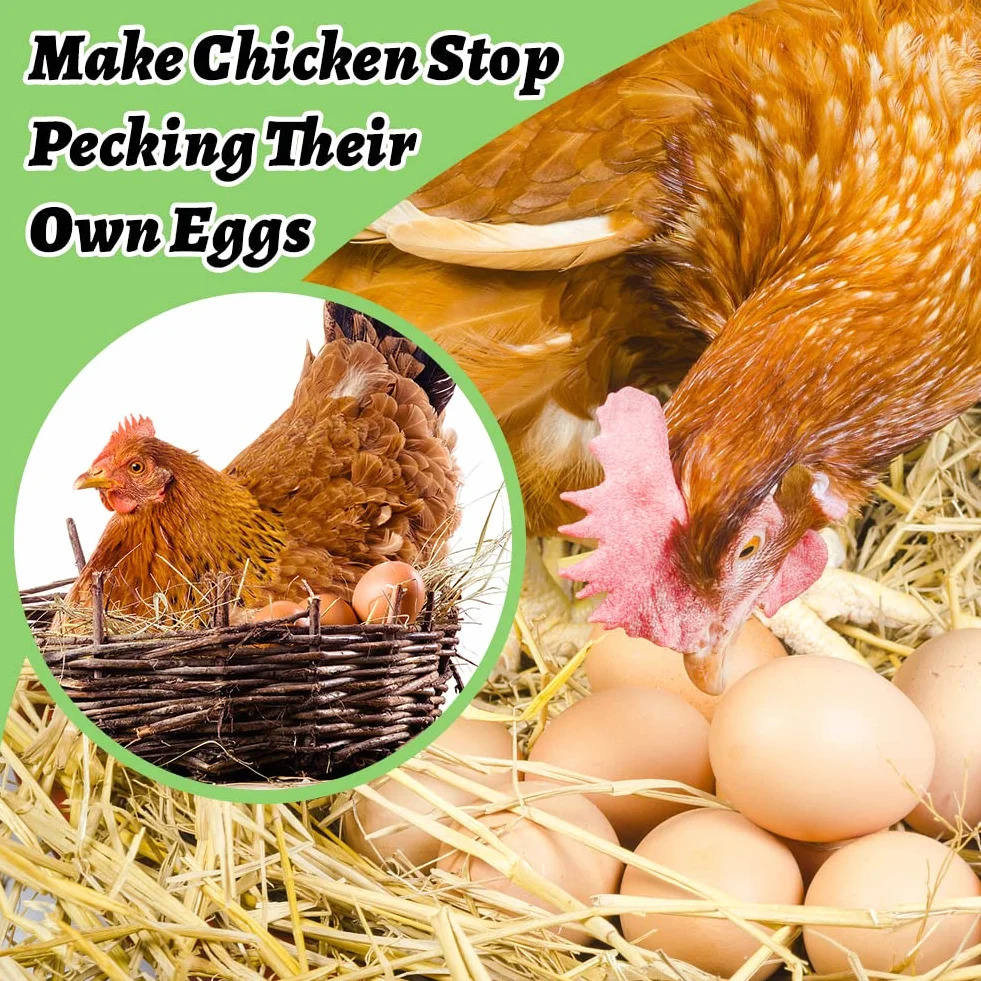 Huevos Falsos para Gallinas 10pcs Plástico Artificiales Decoración