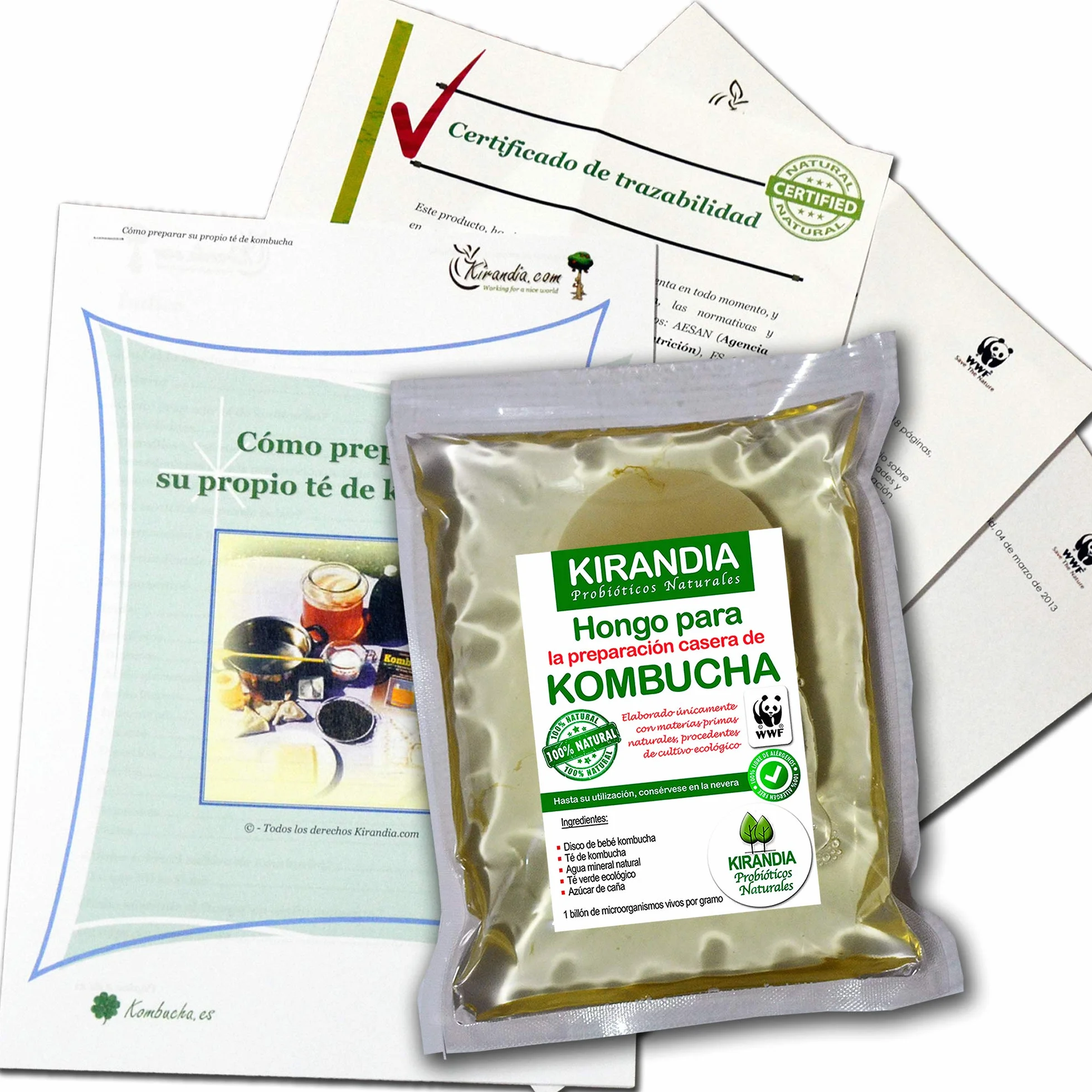 BEBÉ KOMBUCHA SCOBY - Kombucha con Registro Sanitario - Elabora Tu Propio Té Biológico en Casa