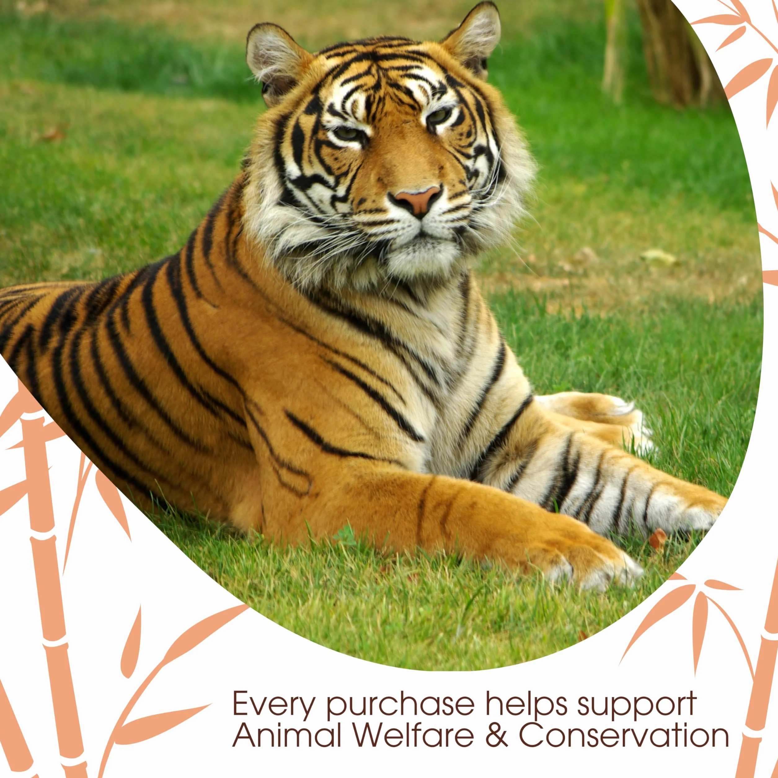 David Rio Chai Mix, Decaf Tiger Spice, 14 Ounce