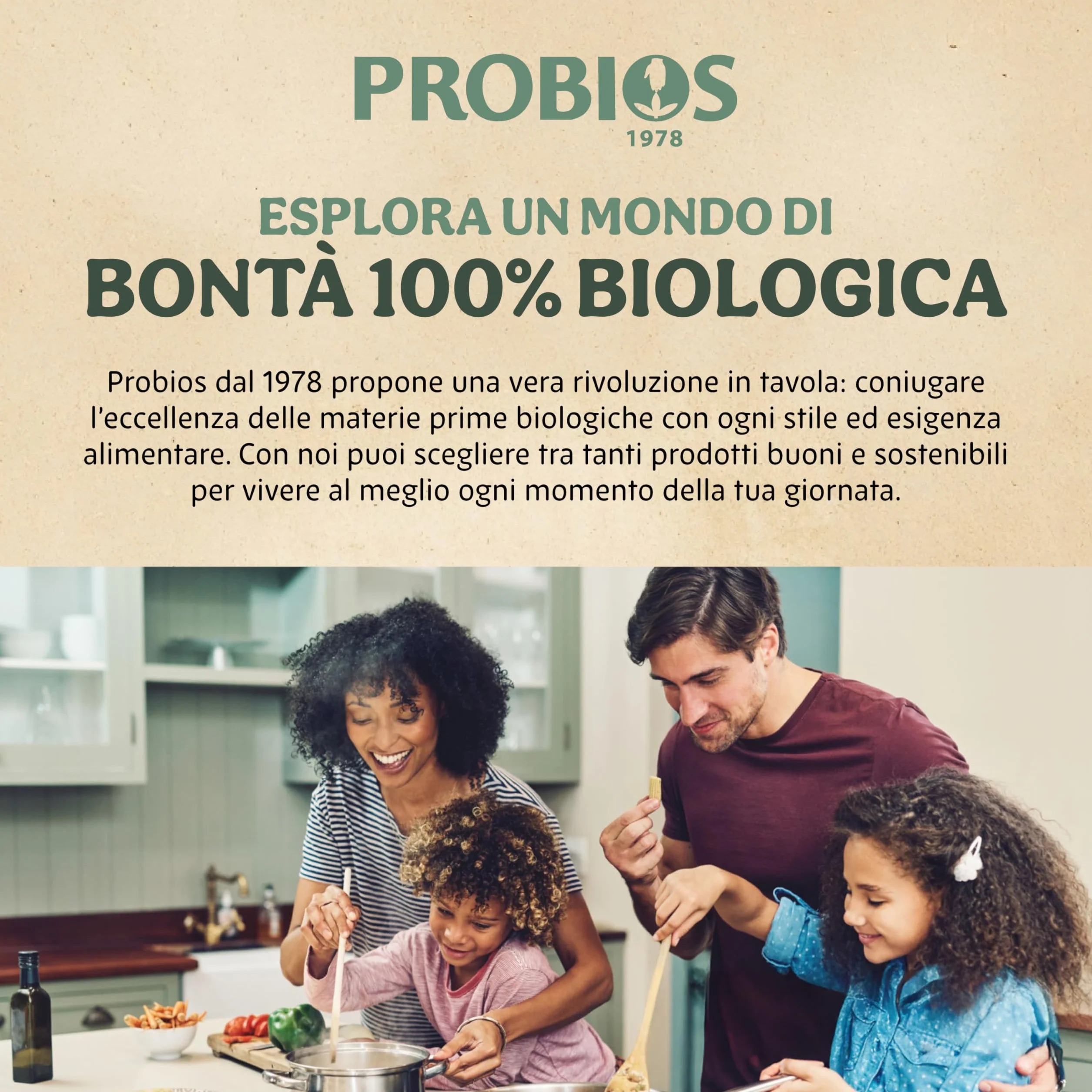 Probios Rice&Rice Galletas de Arroz con Quinua - Paquete de 12 x 100 gr - Total: 1200 gr