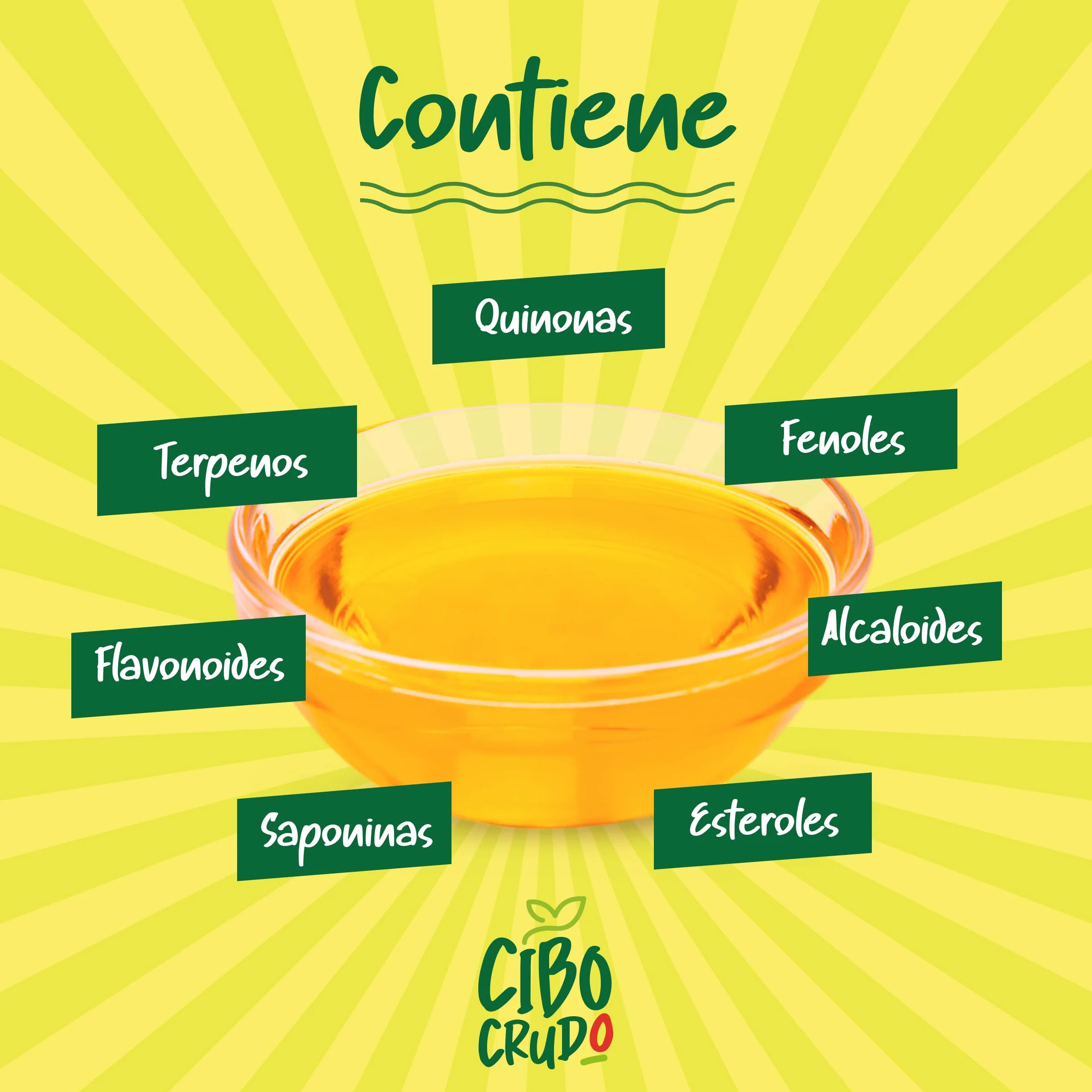 Aceite de Comino Negro Bio - 500ml. Aceite de Semilla Negra también llamado Nigella Sativa es Rico en Omega 6/9 y Timoquinona ideal para Condimentos - Black Seed Oil Organic Cold Pressed