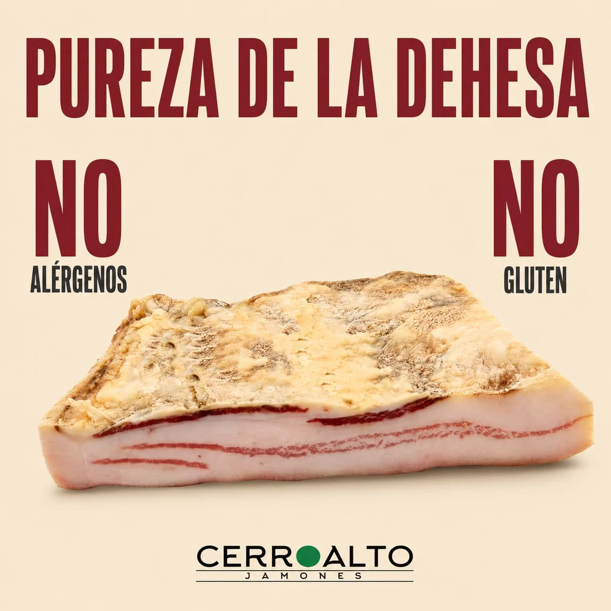 Panceta Ibérica de Bellota Pieza Entera 1500-2000 g Curada Lentamente en Bodega Natural