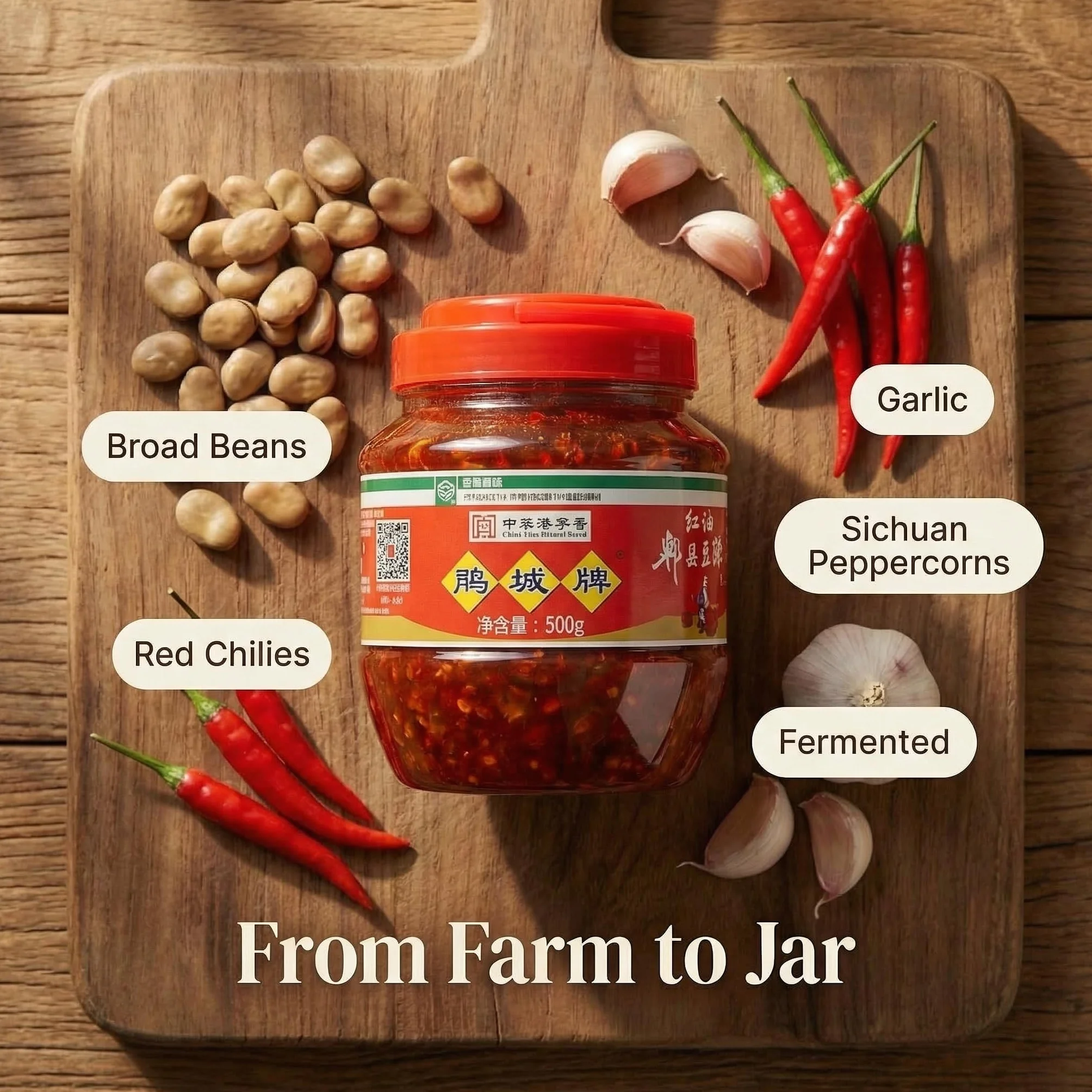 Doubanjiang 500g sticky chili bean sauce - Auténtica pasta de judías con chile rojo de Sichuan para cocinar y condimentar