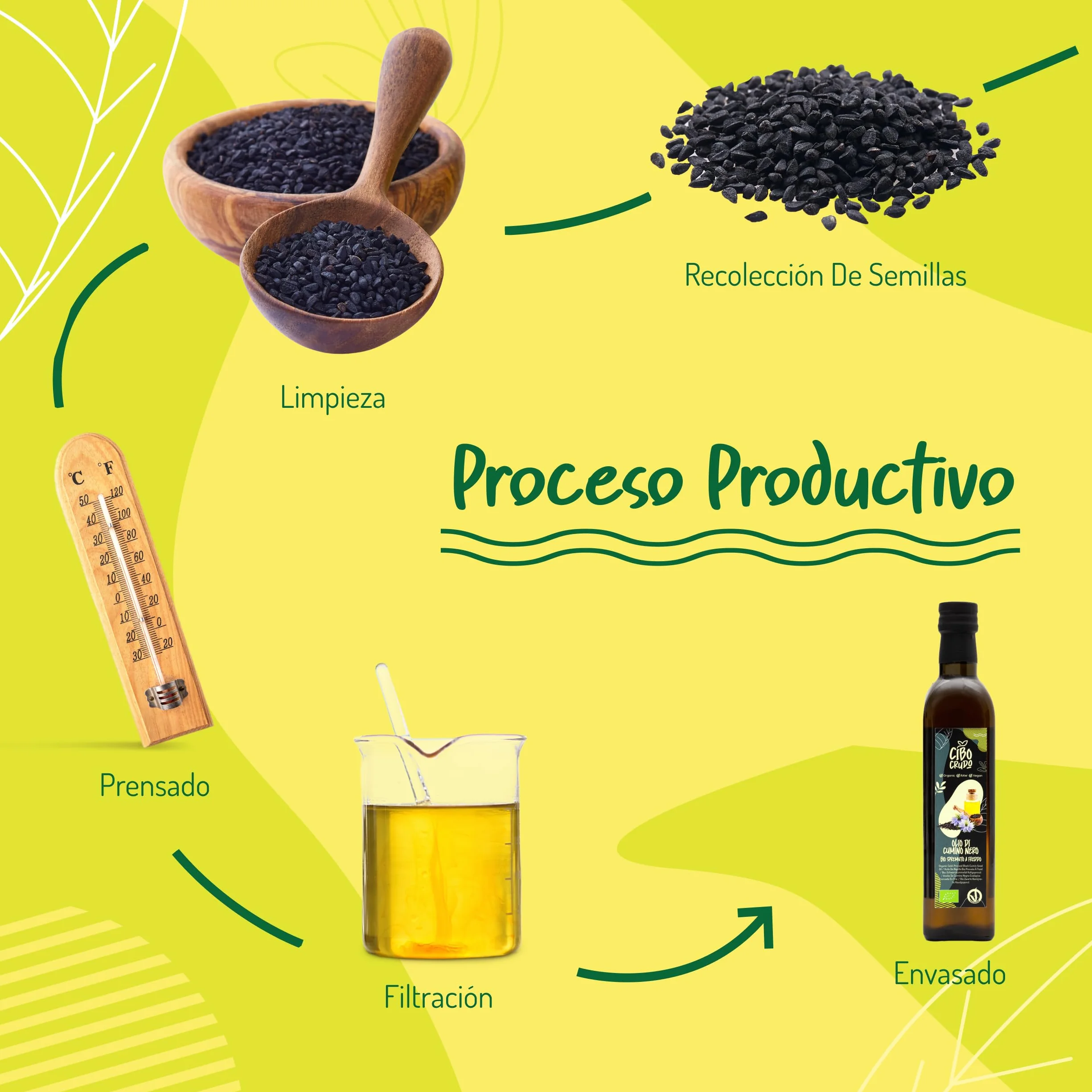Aceite de Comino Negro Bio - 500ml. Aceite de Semilla Negra también llamado Nigella Sativa es Rico en Omega 6/9 y Timoquinona ideal para Condimentos - Black Seed Oil Organic Cold Pressed
