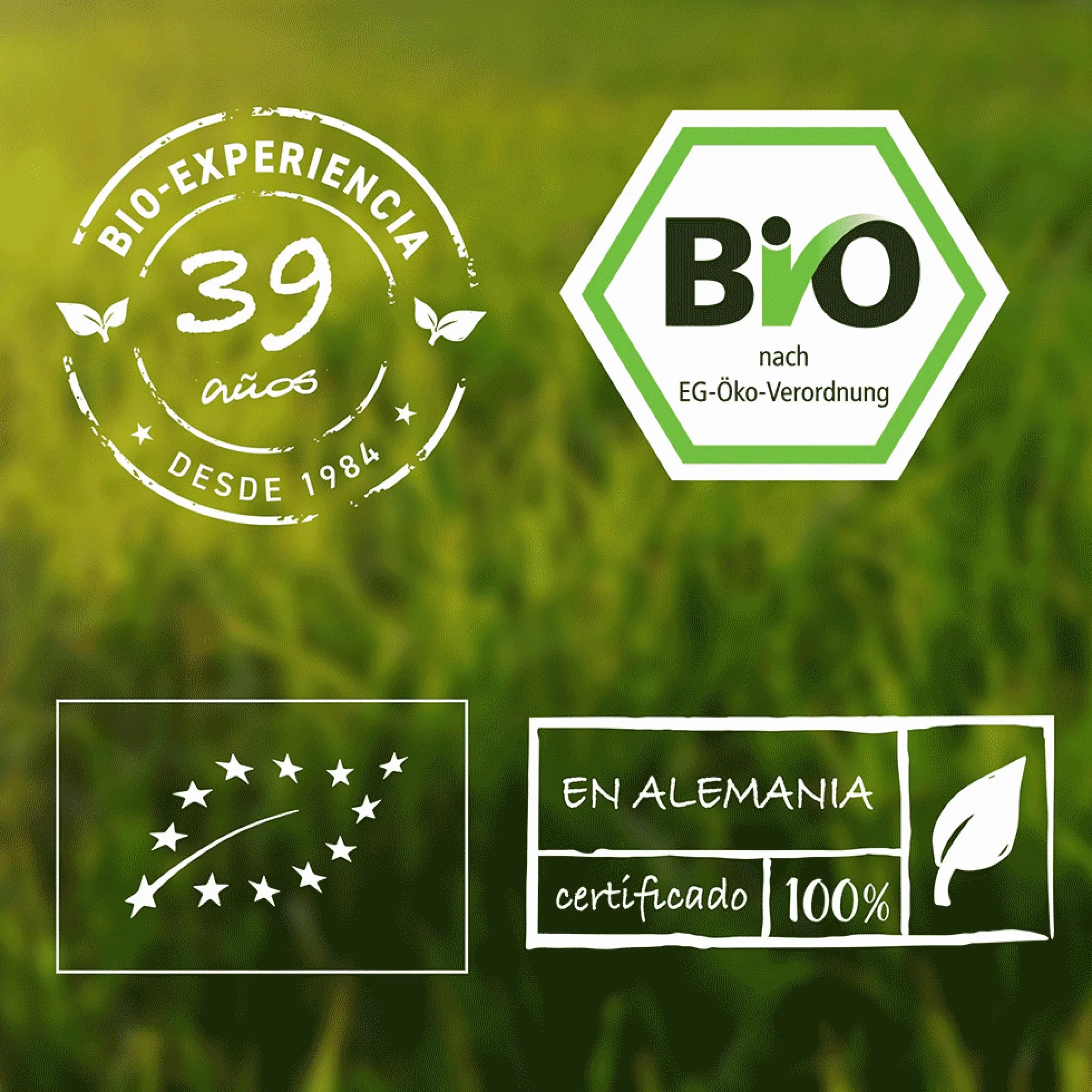 Harina de linaza ecológica Biotiva 2kg (2x1kg) baja en carbohidratos sin gluten sin soja