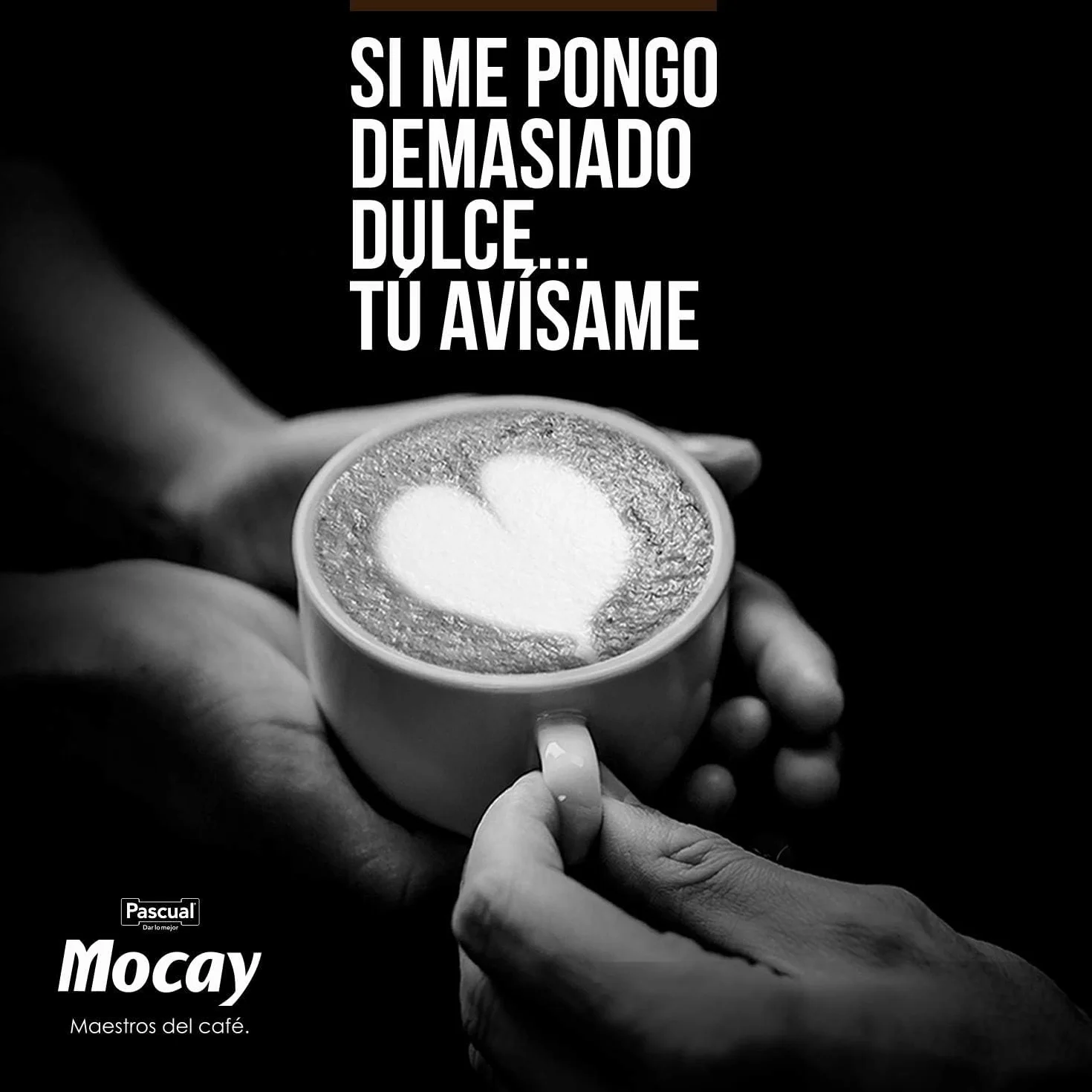 Pack 10 Mocay Café Frío Cappuccino 200 ml | Café Listo para Beber con Leche | Elaborado con Café 100% Arábica | Bebida Refrigerada Lista para Tomar | Entrega 24h