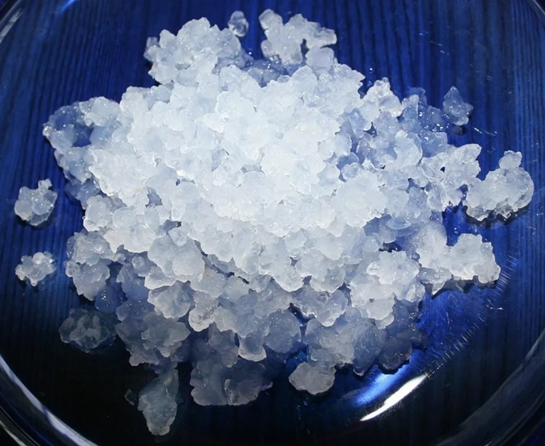 Kéfir de Agua Fresco 100g con Instrucciones y Recetas - KEFIRALIA®