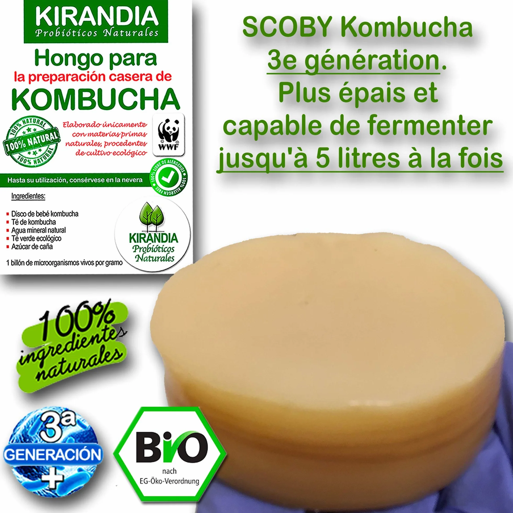 BEBÉ KOMBUCHA SCOBY - Kombucha con Registro Sanitario - Elabora Tu Propio Té Biológico en Casa