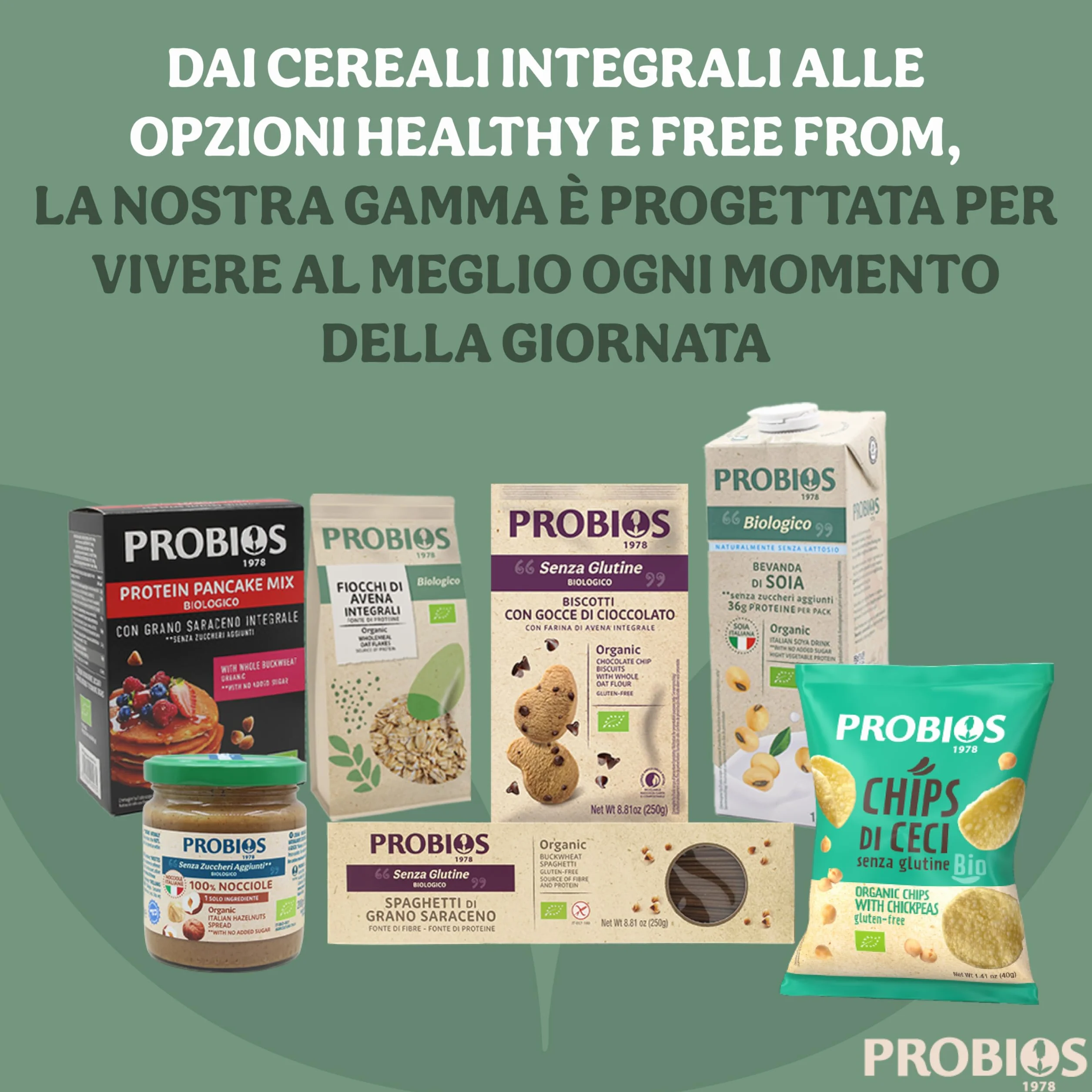 Probios Rice&Rice Galletas de Arroz con Quinua - Paquete de 12 x 100 gr - Total: 1200 gr