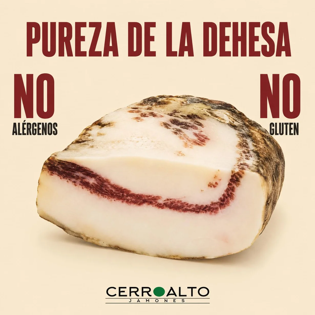 Papada Ibérica de Bellota Curada en Bodega Natural 1,2-1,5 Kg Envasada al Vacío Sabor Intenso