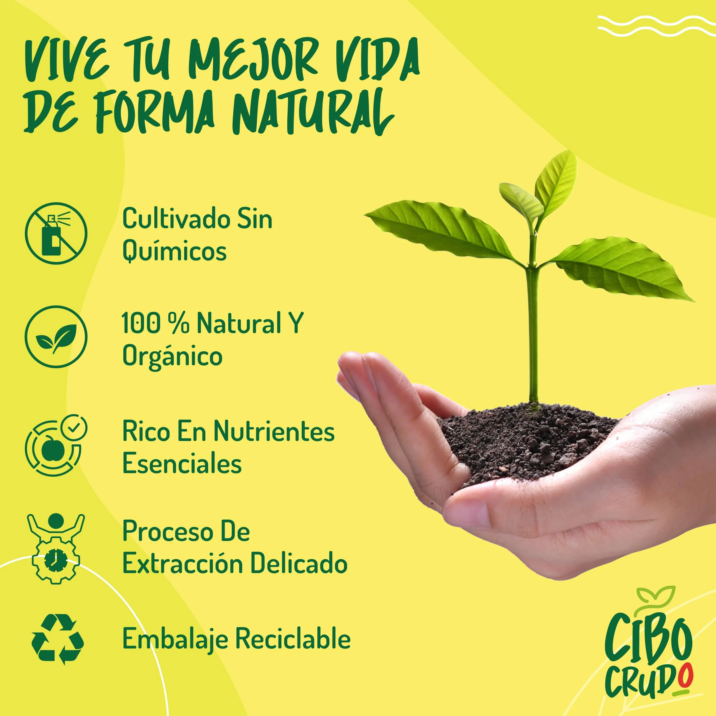 Aceite de Comino Negro Bio - 500ml. Aceite de Semilla Negra también llamado Nigella Sativa es Rico en Omega 6/9 y Timoquinona ideal para Condimentos - Black Seed Oil Organic Cold Pressed