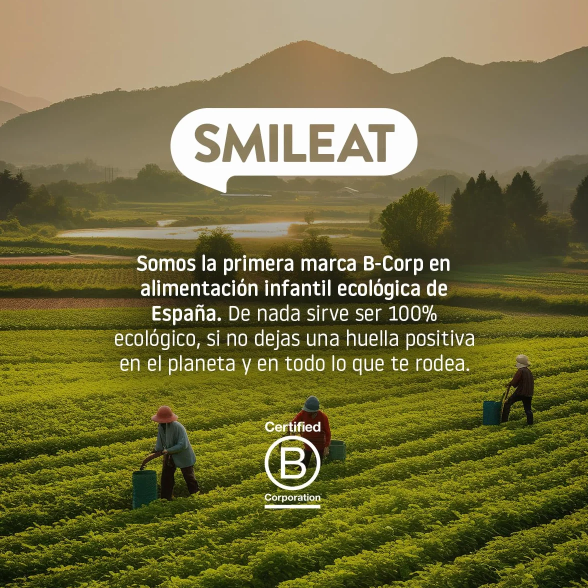 Smileat - Pack de 15 TRIBOO Snacks de Fruta sabor Manzana - Aperitivo para Niños - Alternativa a Gominolas y Chuches - Ideal para el Cole y Meriendas - 375g