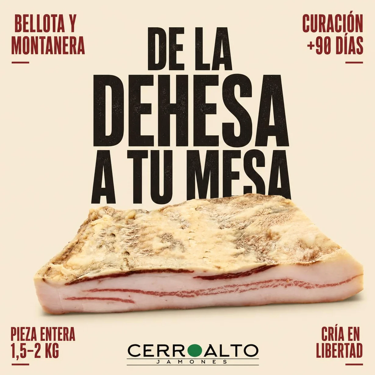 Panceta Ibérica de Bellota Pieza Entera 1500-2000 g Curada Lentamente en Bodega Natural