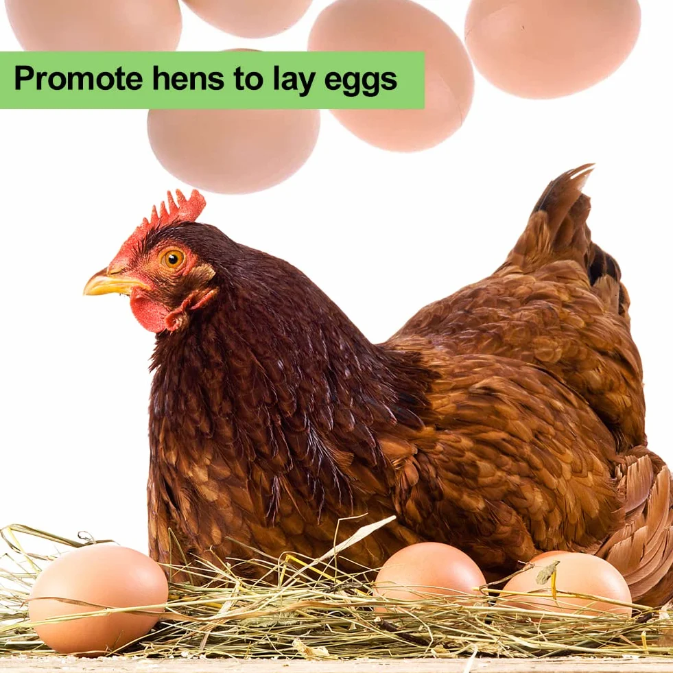 Huevos Falsos para Gallinas 10pcs Plástico Artificiales Decoración