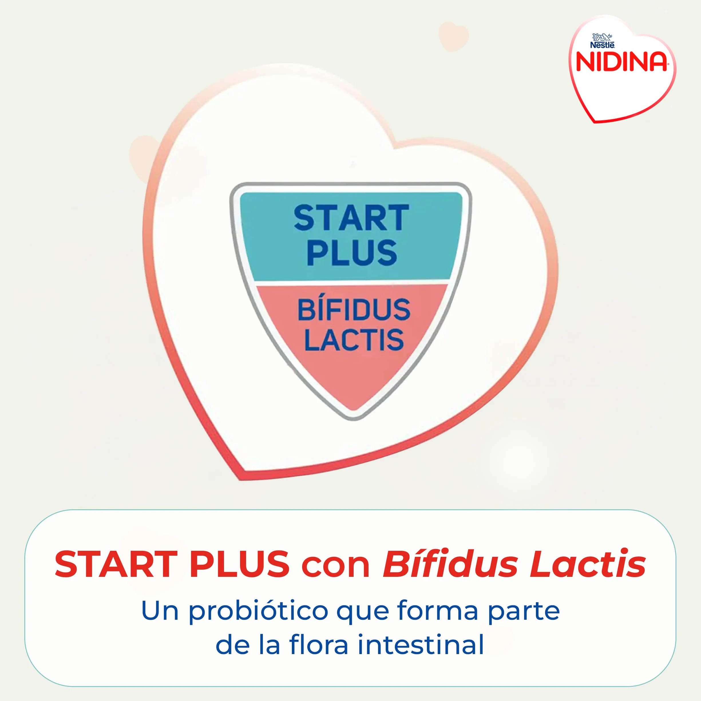 Nestlé NIDINA 2 Leche De Continuación en polvo 1200g