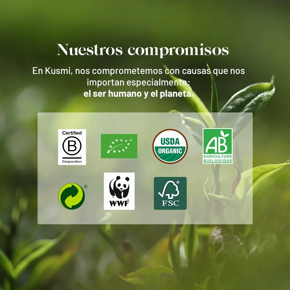 Kusmi Tea Cesta de Té Orgánico Regalo 8 Sabores 24 Bolsitas Verde Negro Infusión Detox