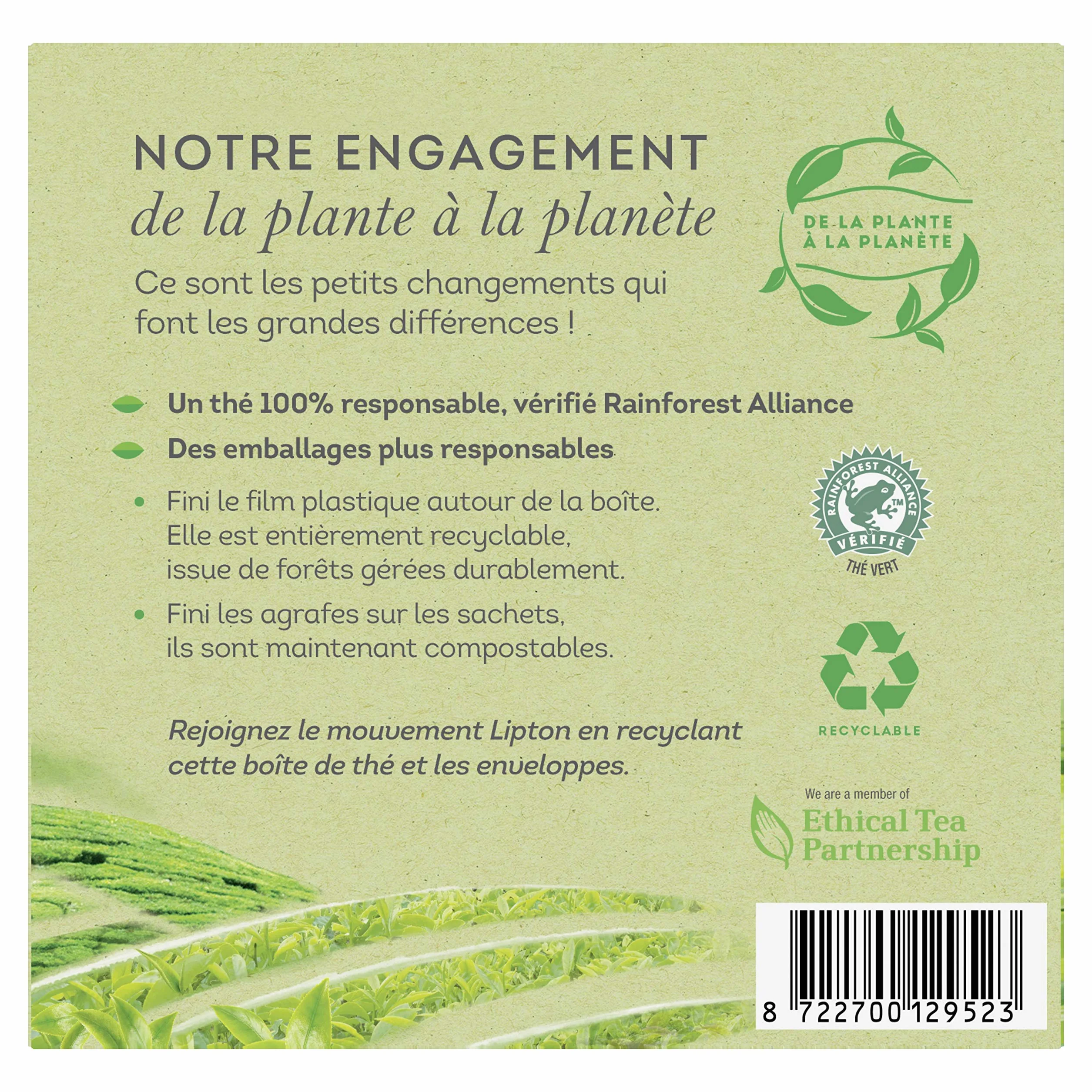 Lipton Té Verde Clásico, Sabor Ligero y Sutil, Rainforest Alliance 100 Bolsas