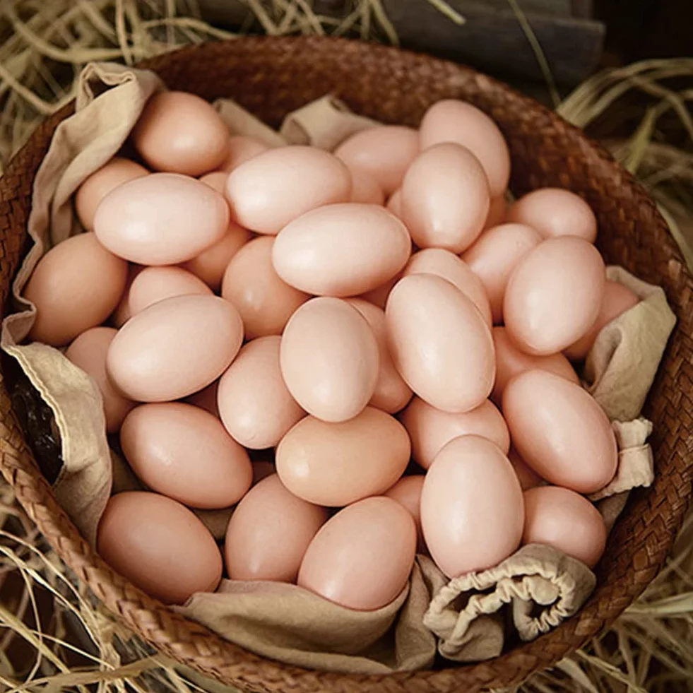 Huevos Falsos para Gallinas 10pcs Plástico Artificiales Decoración