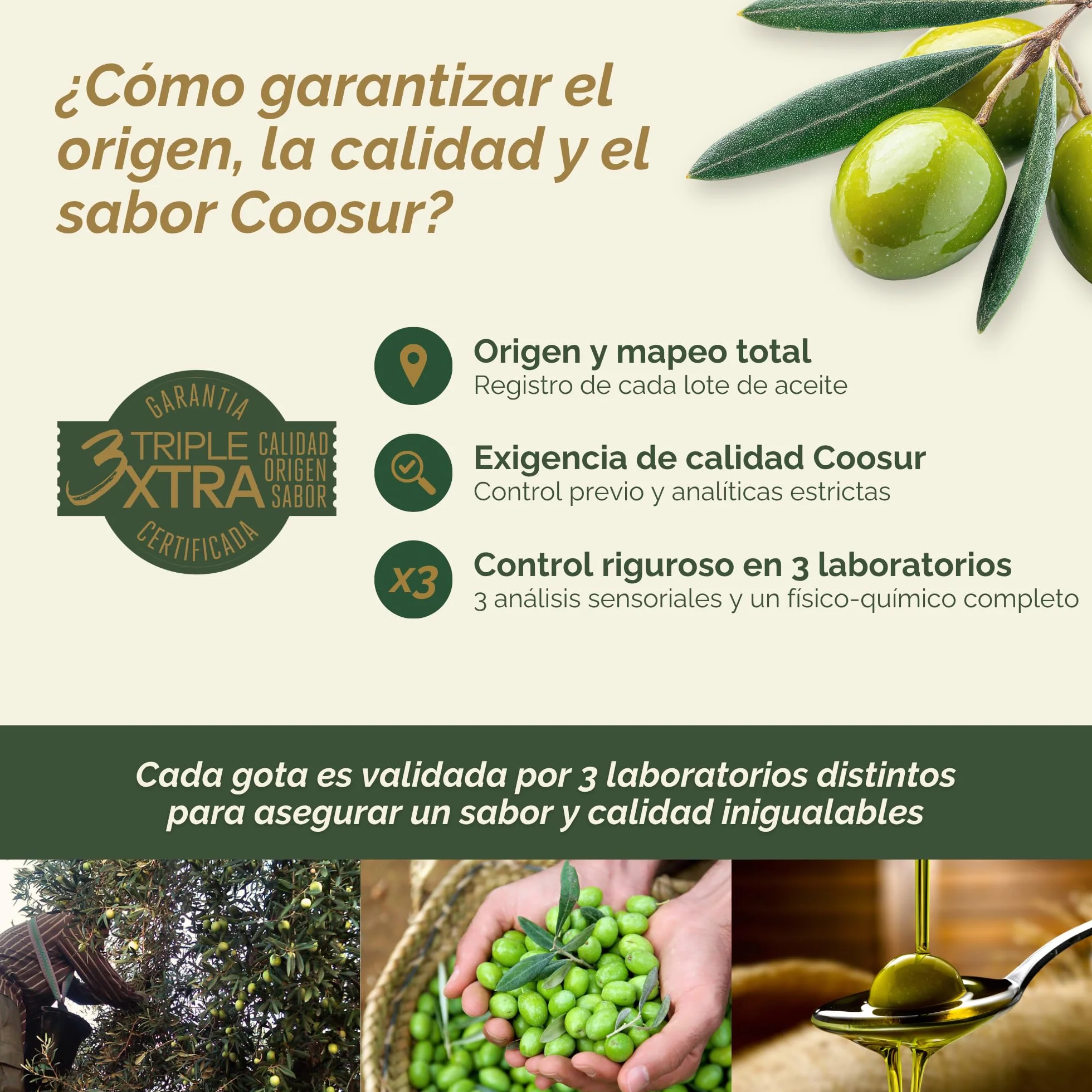 Aceite de Oliva Virgen Extra Hojiblanca 3 Litros